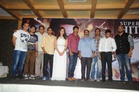 Jil Movie Success Meet Photos